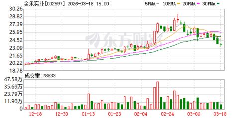 降本增效與務實投資 解析金禾實業的長期發展邏輯